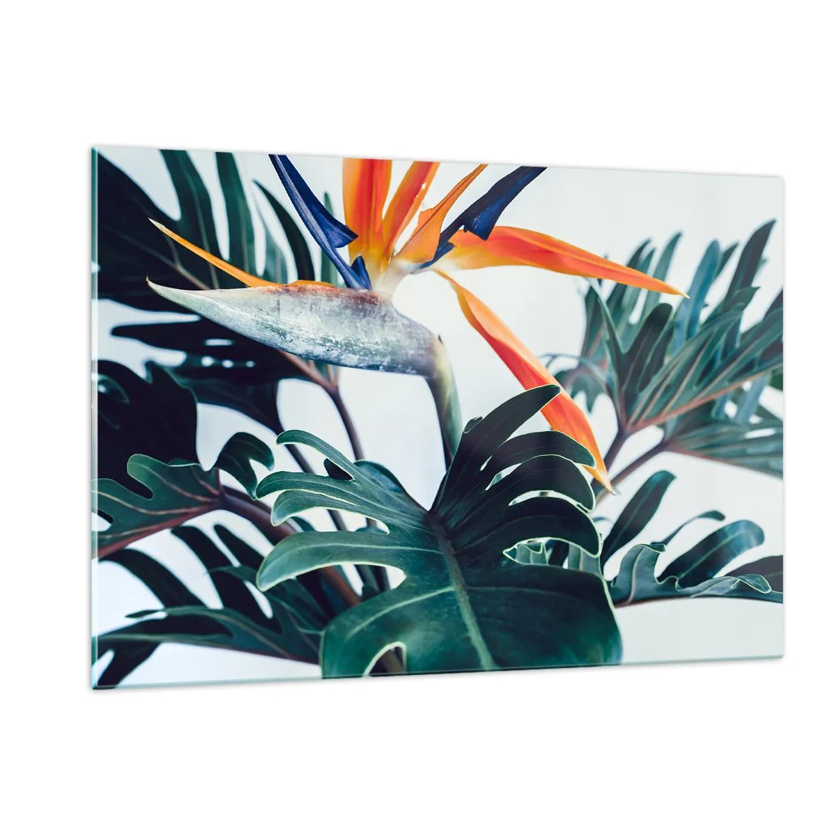 Glasbild - Bild auf glas - Exotische Pflanze mit Paradiesvogelblume - 120x80cm - Vogelbusch - Moderne Wanddekoration für Wohnzimmer und Schlafzimmer ARTTOR