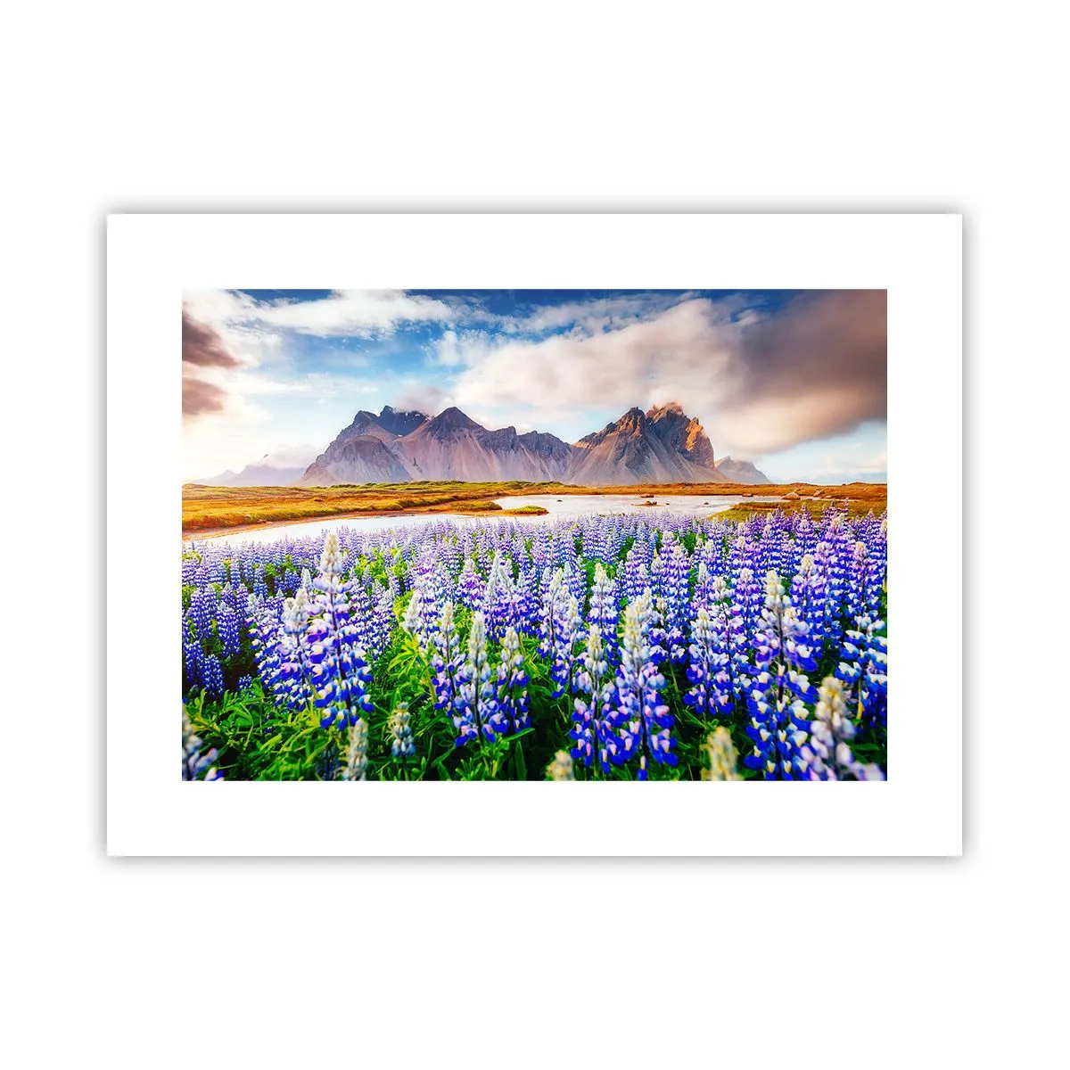 Poster - Kraft und Strenge neben Sanftmut - 40x30 cm