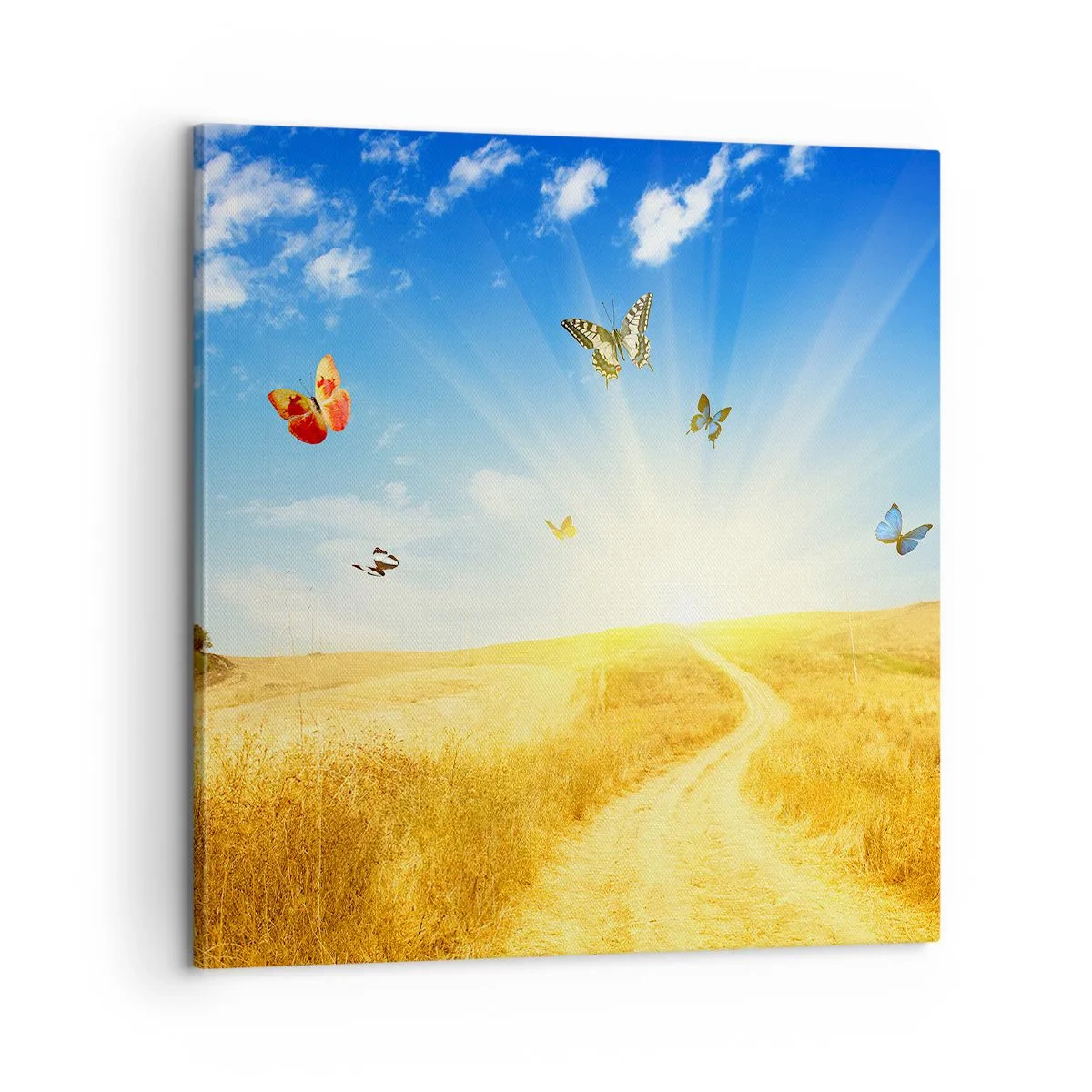 Bild auf Leinwand - Leinwandbild - Und wie kann man den Sommer nicht lieben? - 60x60 cm