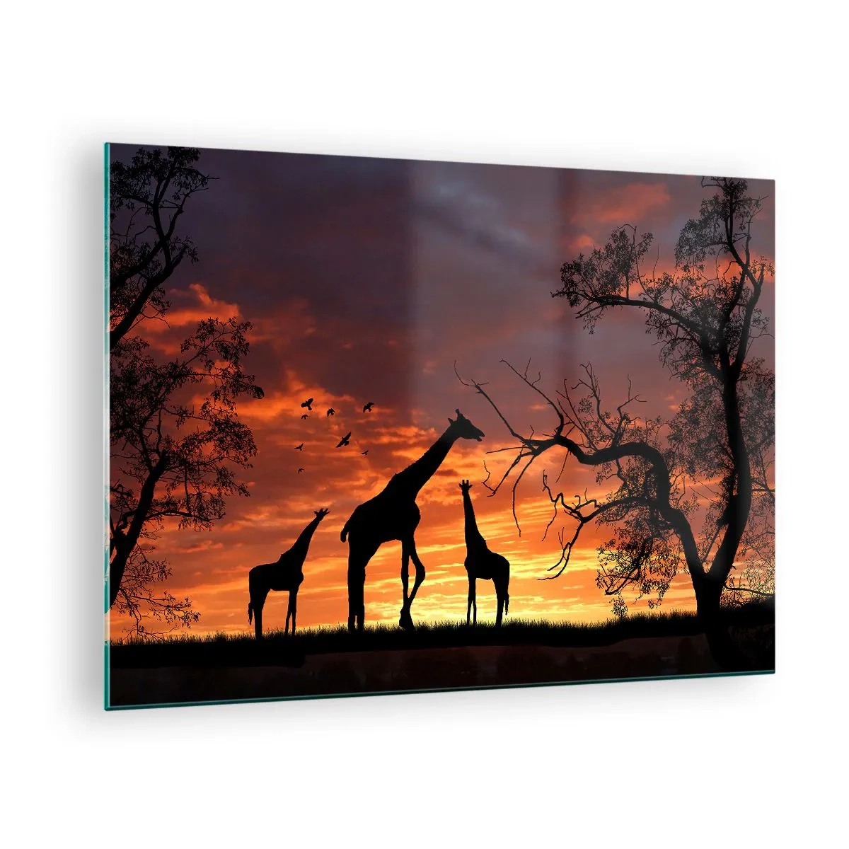 Glasbild - Bild auf glas - Silhouetten von Giraffen vor dem Hintergrund eines Sonnenuntergangs in einer afrikanischen Landschaft - 70x50cm - Ein kleines Abendessen mit deinen Liebsten - Moderne Wanddekoration für Wohnzimmer und Schlafzimmer ARTTOR