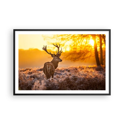 Poster in einem schwarzem Rahmen - König des Herbstwaldes - 91x61 cm