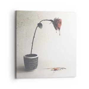 Bild auf Leinwand - Leinwandbild - Rosa dolorosa - 70x70 cm