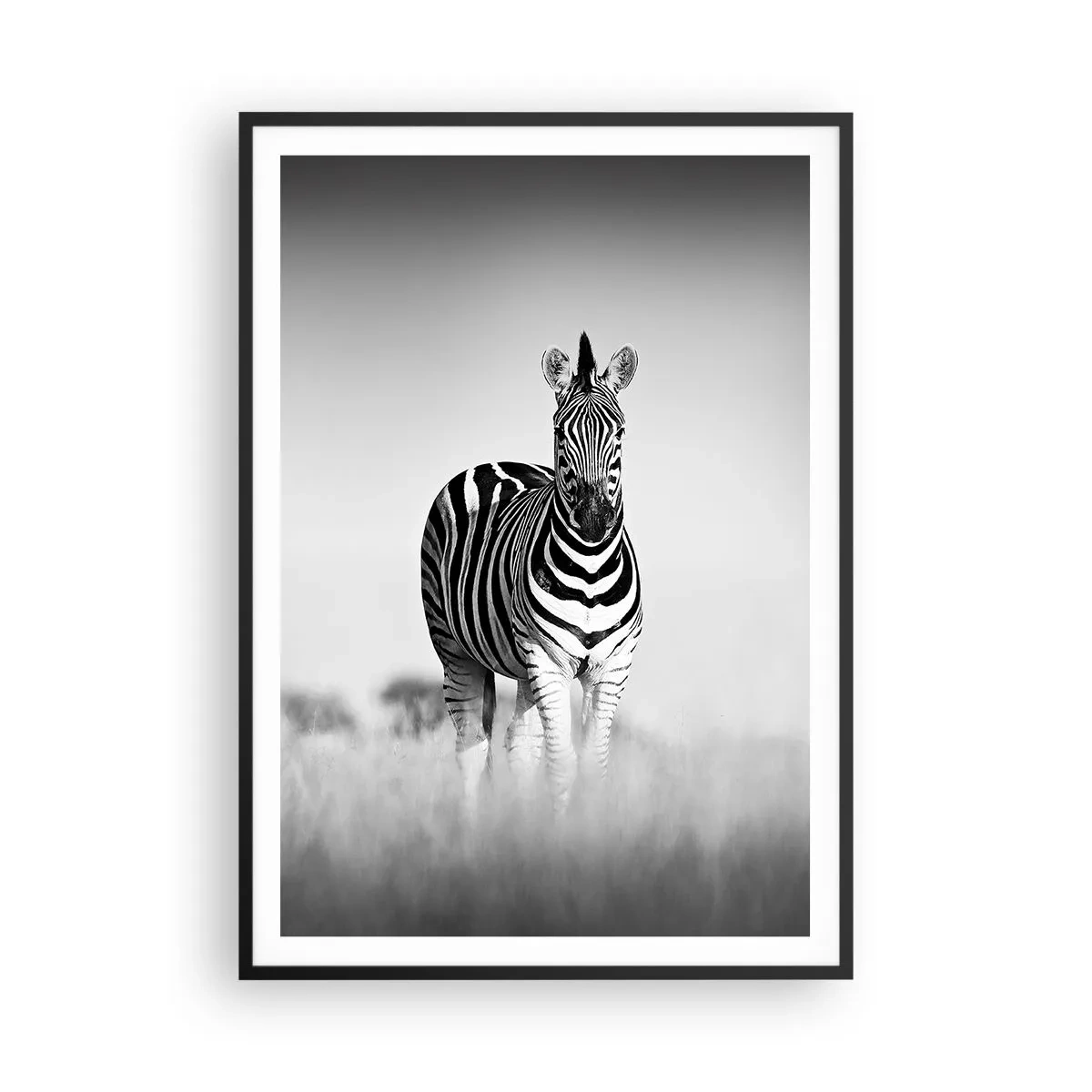 Poster in einem schwarzem Rahmen - Die Welt ist doch schwarz-weiß - 70x100 cm