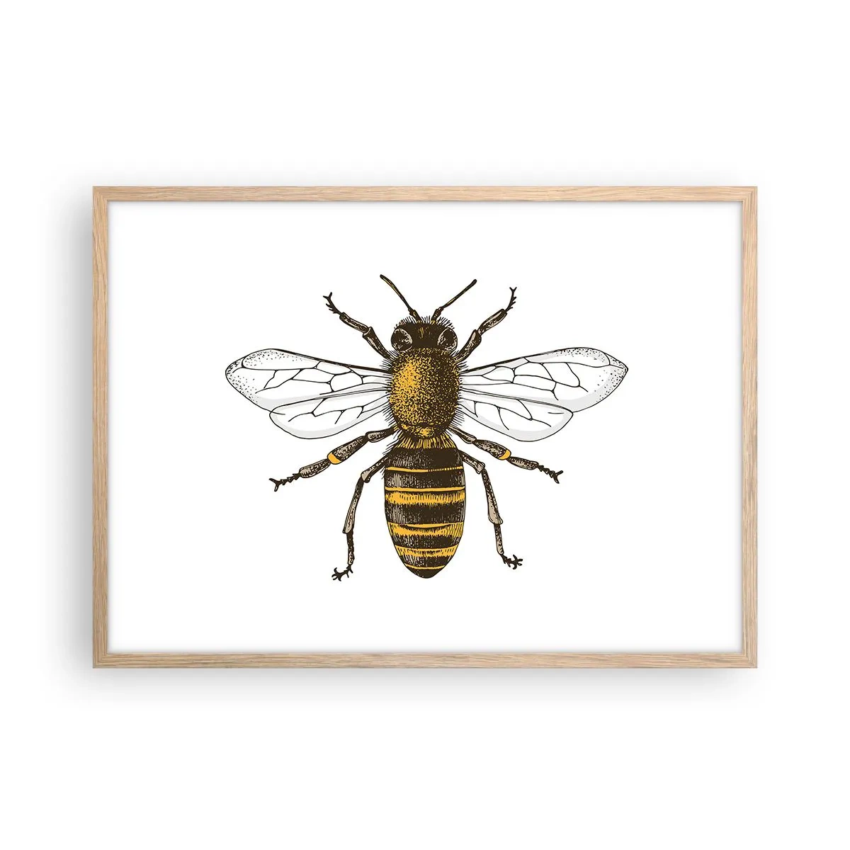 Poster in einem Rahmen aus heller Eiche - Schön und gut - 70x50 cm