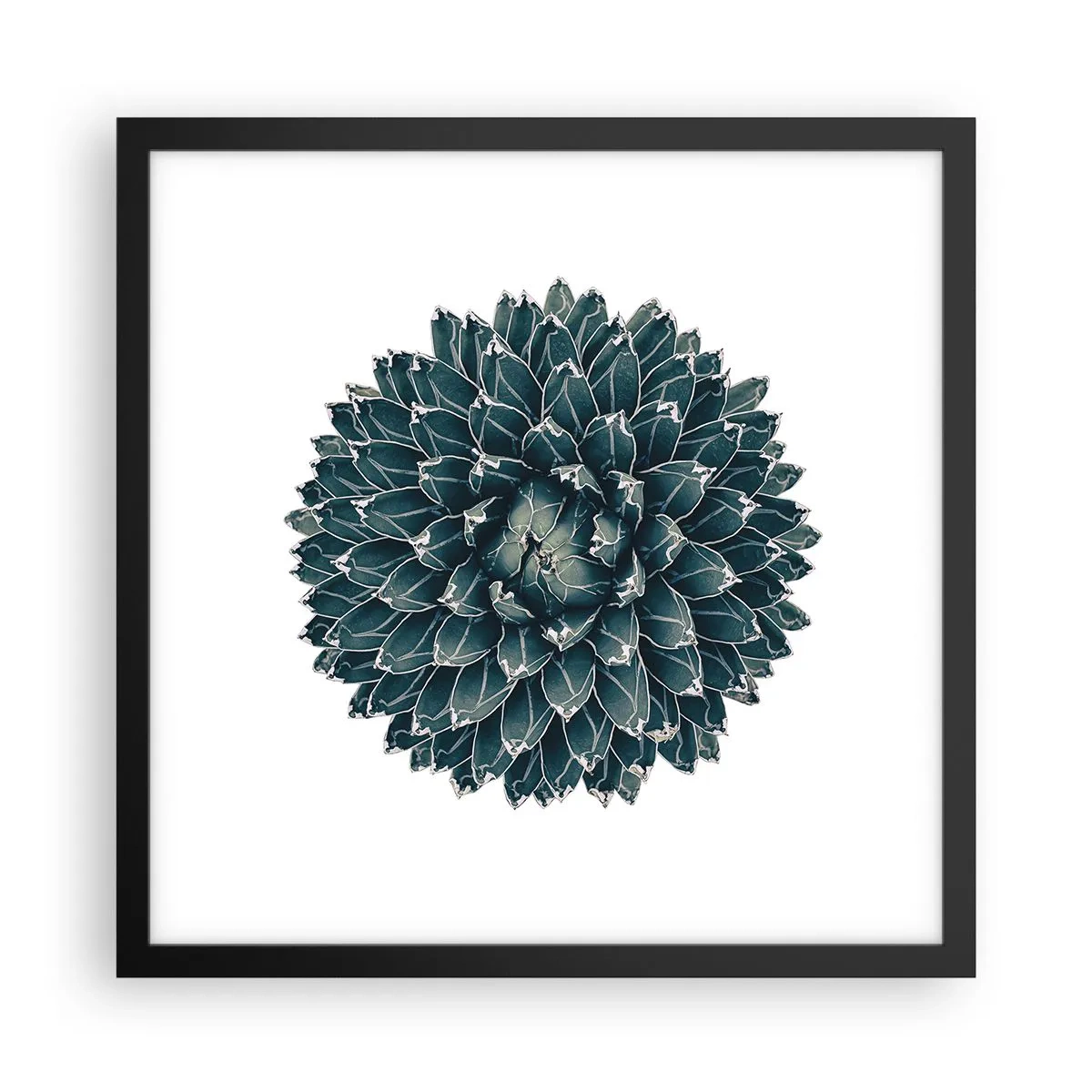 Poster in einem schwarzem Rahmen - Stern der Wüste - 40x40 cm