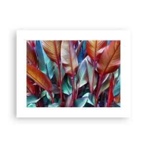 Poster - Buntes Dickicht - 40x30 cm