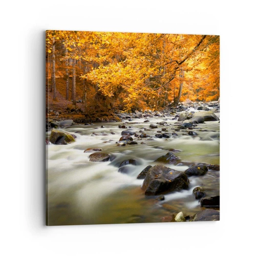 Bild auf Leinwand - Leinwandbild - Ein Bach in einem goldenen Wald - 70x70 cm