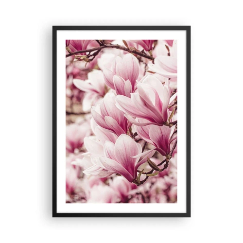 Poster in einem schwarzem Rahmen - Romantisch blühende Magnolien in zartem Rosa - 50x70cm - Frühling ist rosa - Moderne Wanddekoration für Wohnzimmer und Schlafzimmer ARTTOR