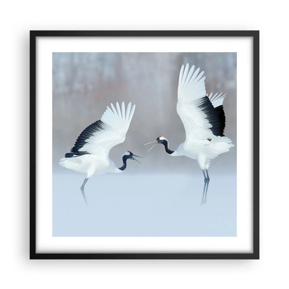 Poster in einem schwarzem Rahmen - Tanz im Nebel - 50x50 cm