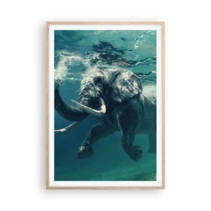 Poster in einem Rahmen aus heller Eiche - Jeder schwimmt gerne - 70x100 cm