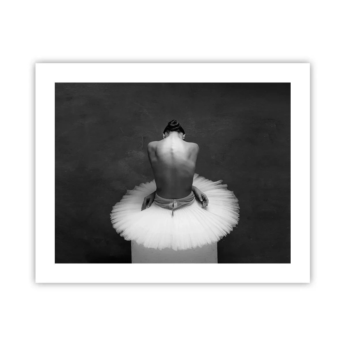 Poster - Es blüht gerade - 50x40 cm