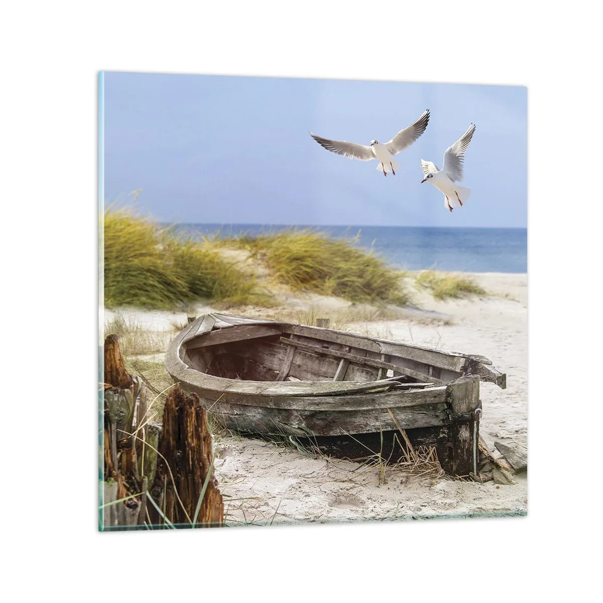 Glasbild - Bild auf glas - In Wind gebadet - 30x30 cm