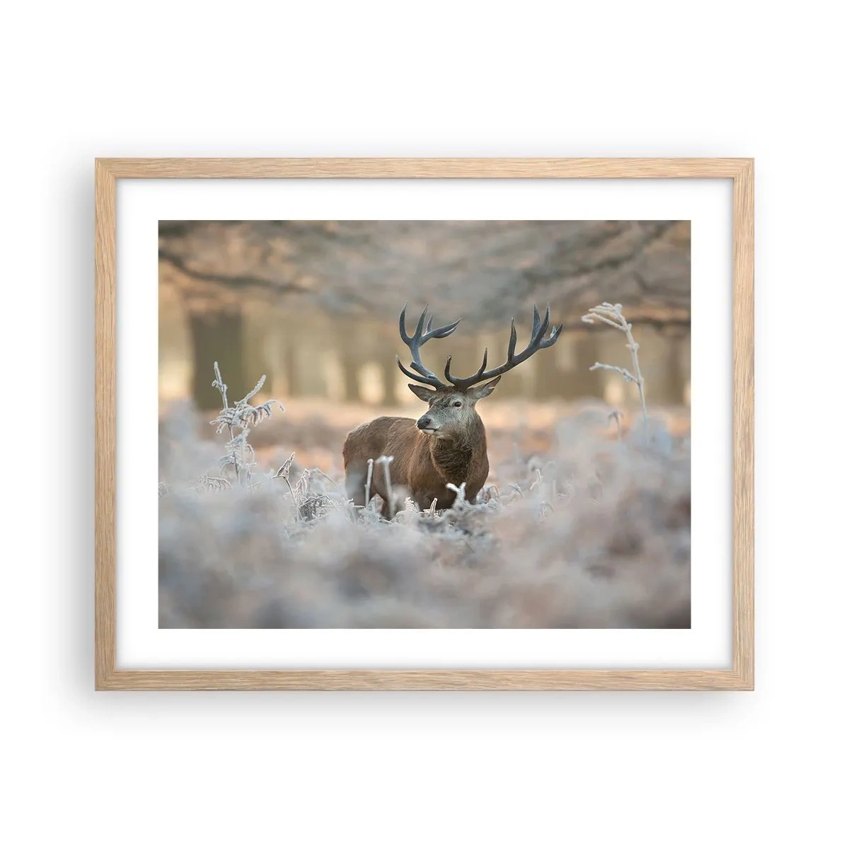 Poster in einem Rahmen aus heller Eiche - Ein flotter Morgen - 50x40 cm