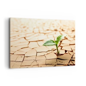 Bild auf Leinwand - Leinwandbild - Eine grüne Pflanze wächst aus trockener, rissiger Erde - 100x70cm - Die unbezähmbare Kraft des Lebens - Moderne Wanddekoration für Wohnzimmer und Schlafzimmer ARTTOR