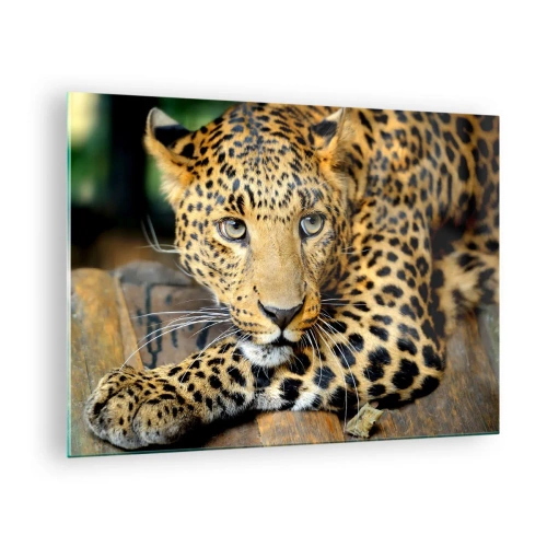 Glasbild - Bild auf glas - Leopard ruht auf einer Holzoberfläche - 70x50cm - Keine Angst, komm mal her - Moderne Wanddekoration für Wohnzimmer und Schlafzimmer ARTTOR