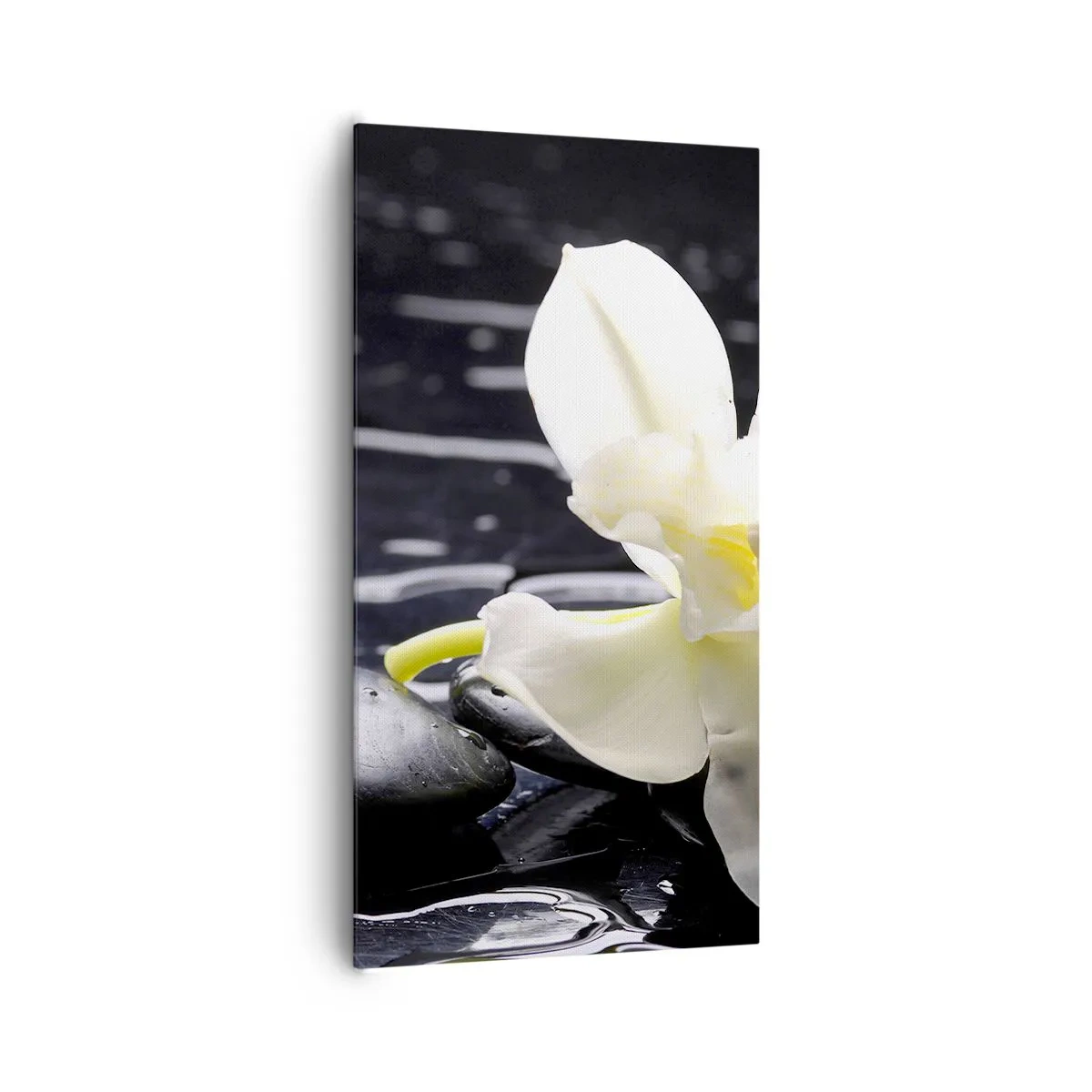 Bild auf Leinwand - Leinwandbild - Eine Studie in Schwarzweiß - 65x120 cm