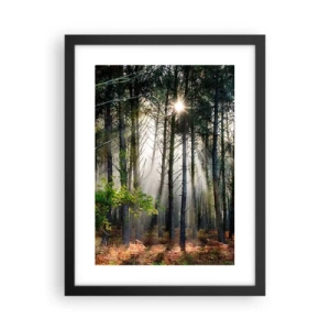 Poster in einem schwarzem Rahmen - Waldgebiet - 30x40 cm