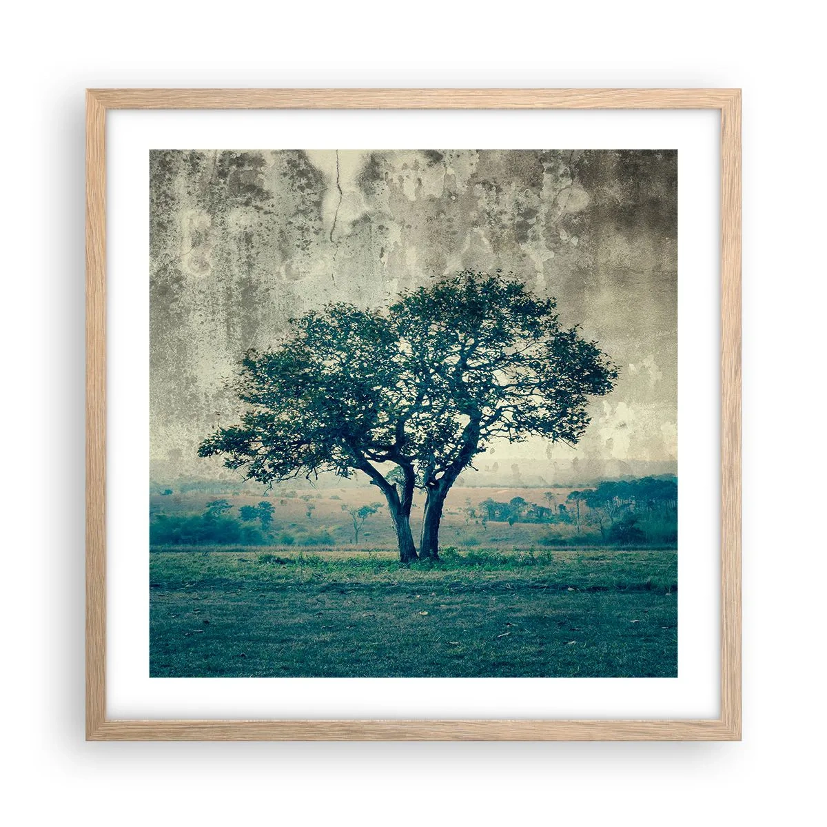 Poster in einem Rahmen aus heller Eiche - Ein Apfelbaum auf blauem Feld? - 50x50 cm