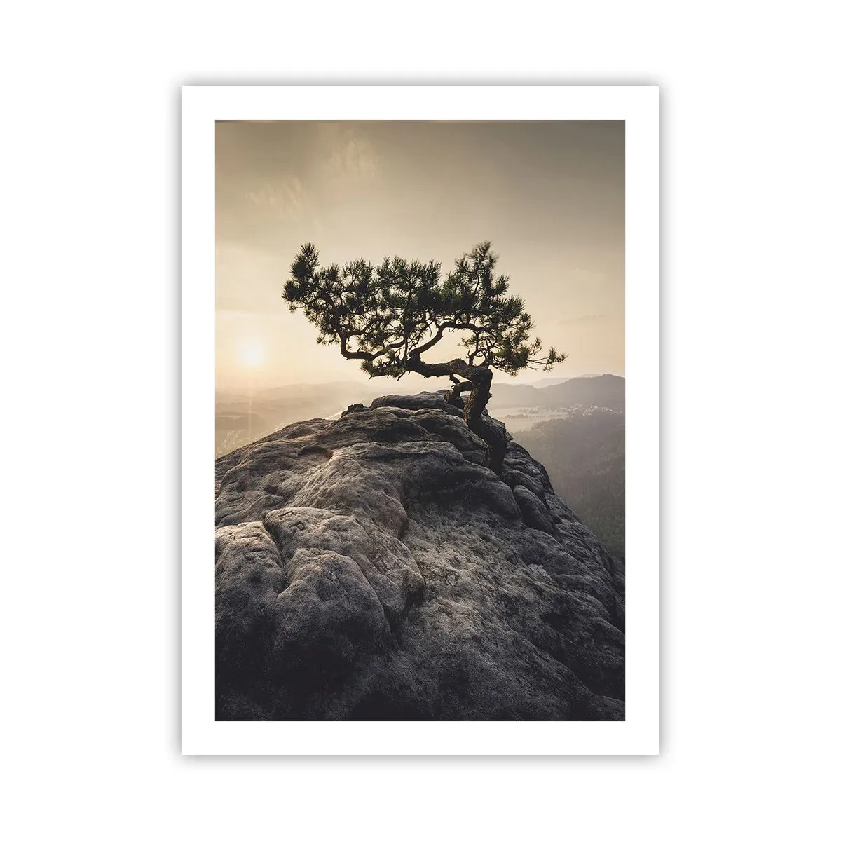 Poster - Ein einsamer Baum auf einem felsigen Gipfel im Licht der untergehenden Sonne - 50x70cm - Das Leben gewinnt immer - Moderne Wanddekoration für Wohnzimmer und Schlafzimmer ARTTOR