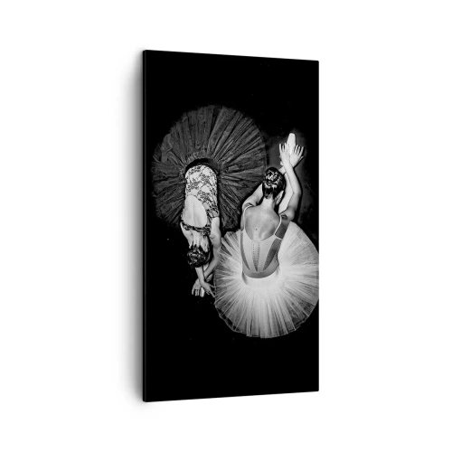 Bild auf Leinwand - Leinwandbild - Jin und Jang – perfekte Balance - 45x80 cm