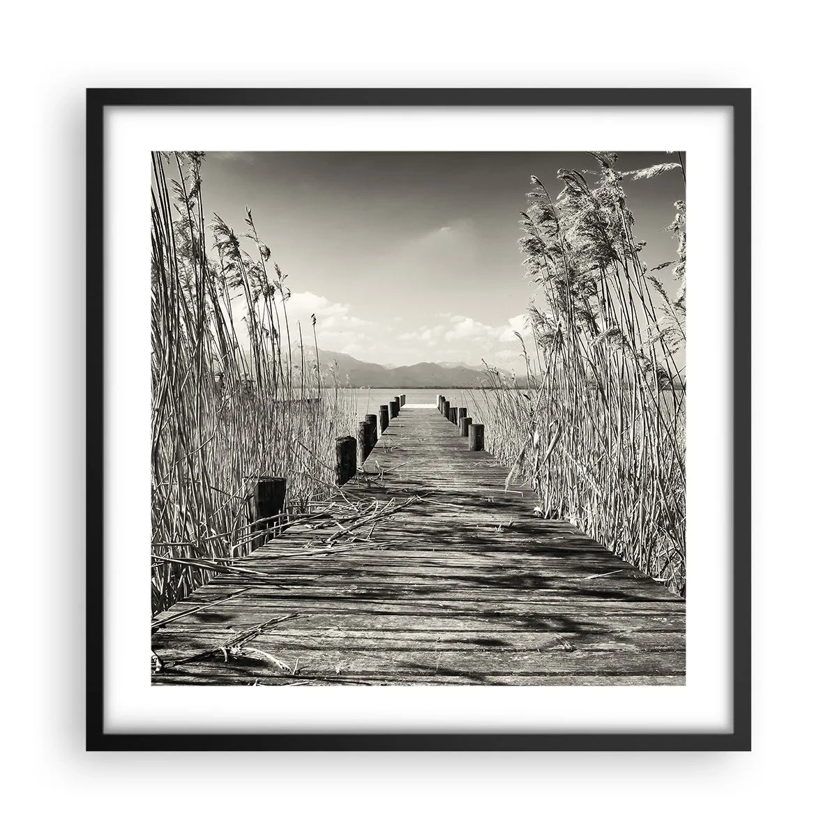 Poster in einem schwarzem Rahmen - In der Stille des Grases - 50x50 cm