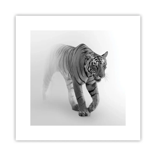 Poster - Im Nebel gelauert - 30x30 cm