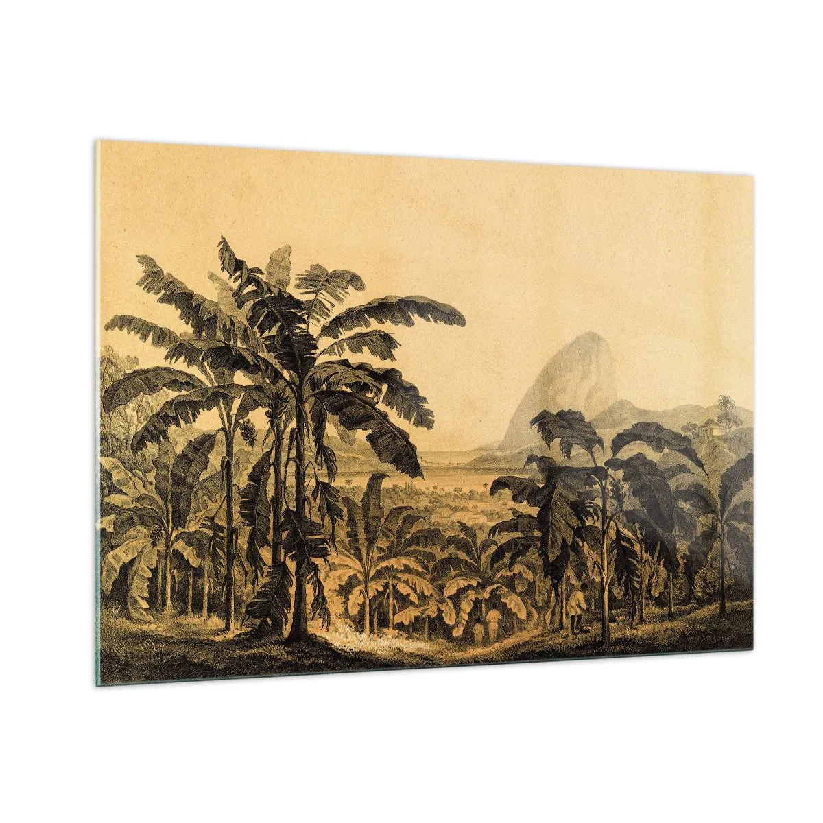 Glasbild - Bild auf glas - Eine Vintage-Illustration einer Bananenplantage mit einem entfernten Berg im Hintergrund. - 100x70cm - in einem kolonialen Klima - Moderne Wanddekoration für Wohnzimmer und Schlafzimmer ARTTOR