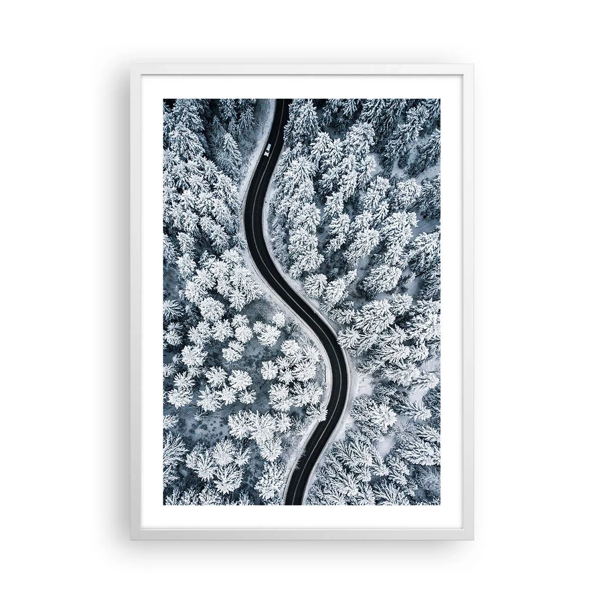 Poster in einem weißen Rahmen - Durch den Winterwald - 50x70 cm