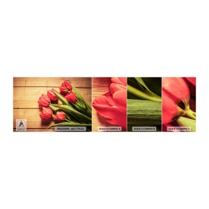 Fototapetenmuster Standard Eco - Frühlingsgeständnis - Blumen, Tulpen, Blumenstrauß - 100x30 cm