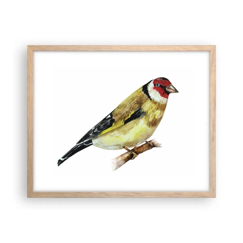 Poster in einem Rahmen aus heller Eiche - Vogelporträt - 50x40 cm