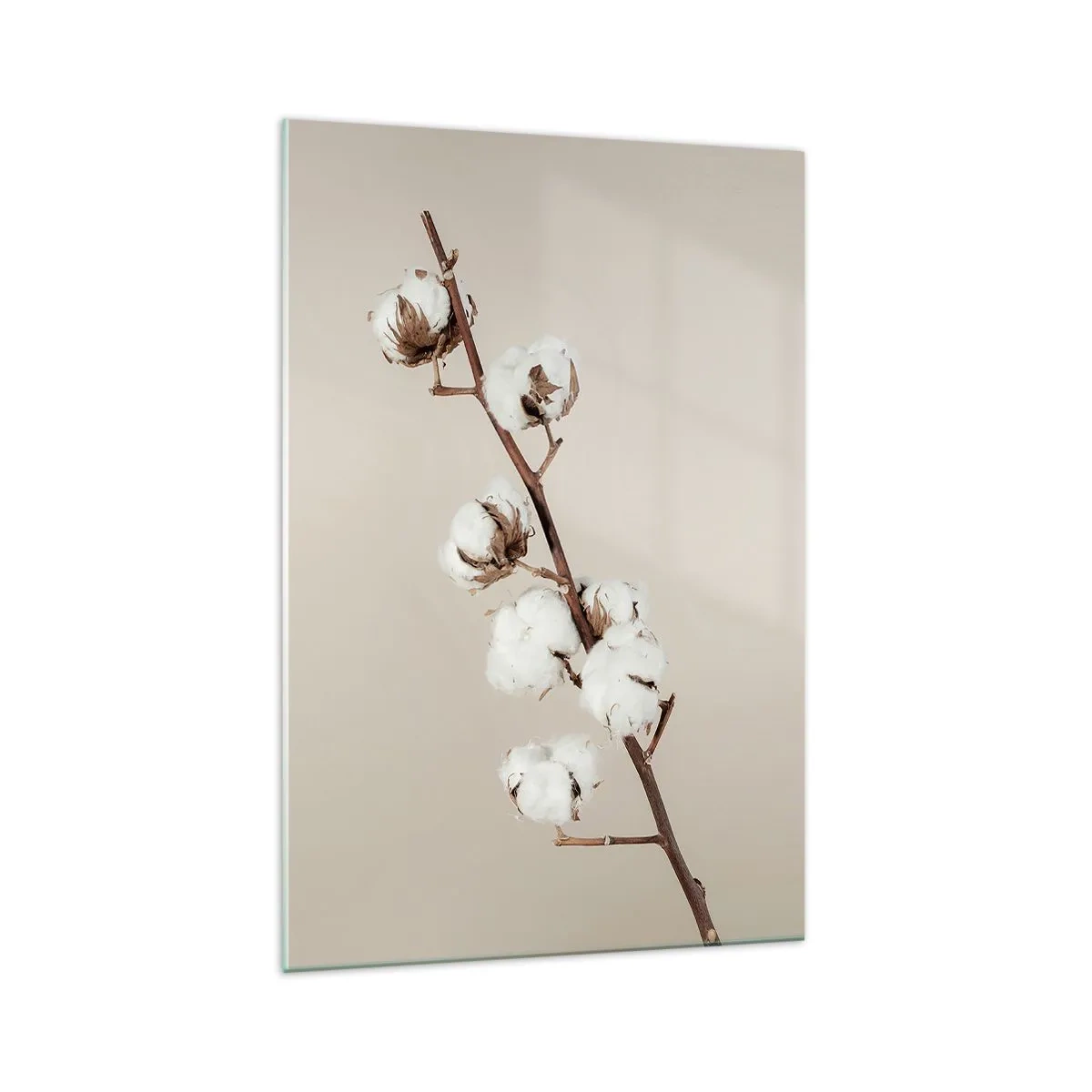 Glasbild - Bild auf glas - Ein Zweig Baumwolle auf beigem Hintergrund - 70x100cm - An der Quelle der Weichheit - Moderne Wanddekoration für Wohnzimmer und Schlafzimmer ARTTOR