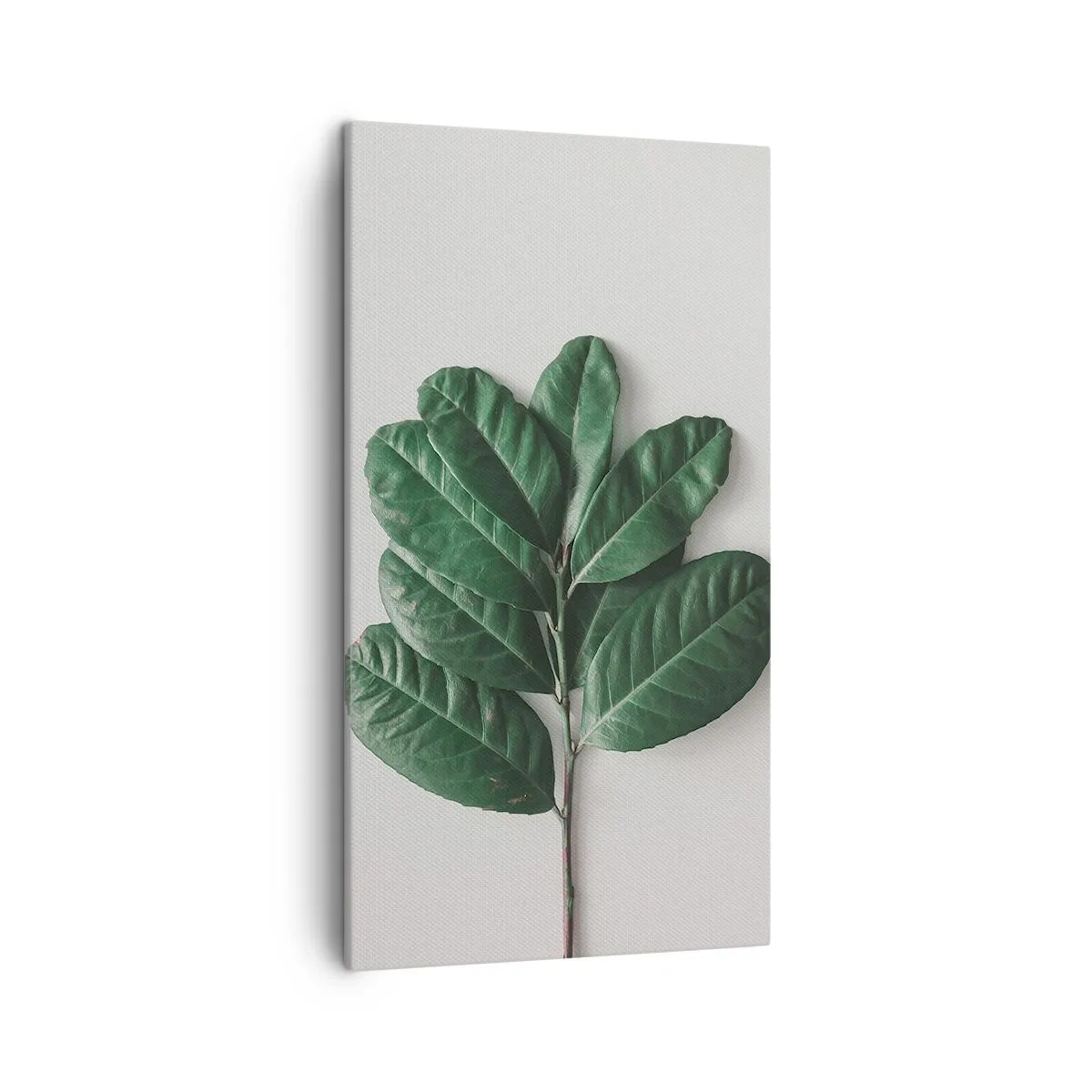 Bild auf Leinwand - Leinwandbild - Eine Zeichnung purer Natur - 45x80 cm