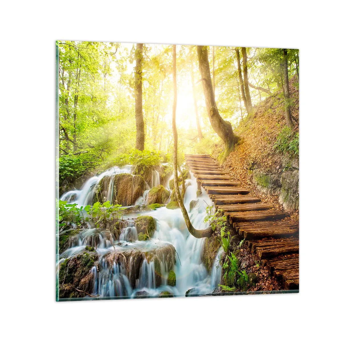 Glasbild - Bild auf glas - Eine ersehnte Kühle - 60x60 cm