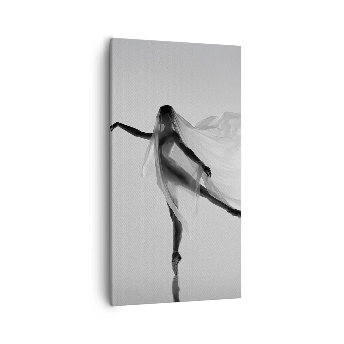 Bild auf Leinwand - Leinwandbild - Leichtigkeit und Anmut - 55x100 cm