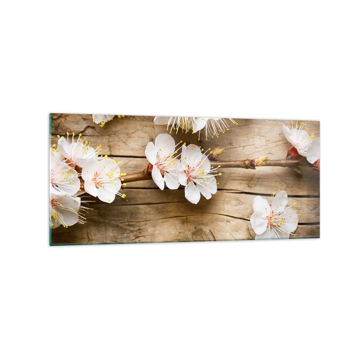 Glasbild - Bild auf glas - Zweige blühender Kirschbäume auf einem Holzbretthintergrund - 120x50cm - Und es war Frühling - Moderne Wanddekoration für Wohnzimmer und Schlafzimmer ARTTOR