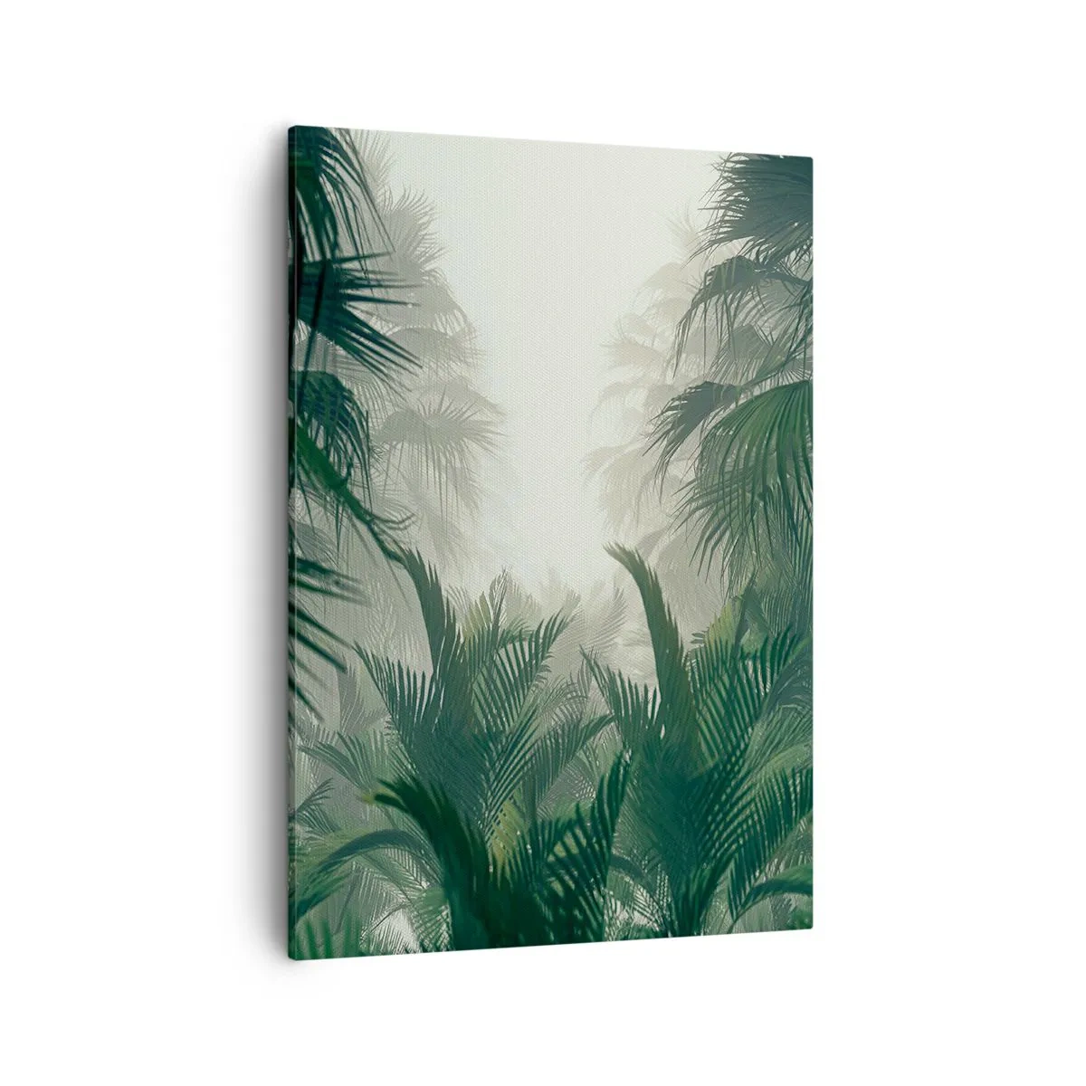 Bild auf Leinwand - Leinwandbild - Tropische Vegetation im dichten Regenwaldnebel - 50x70cm - Tropisches Geheimnis - Moderne Wanddekoration für Wohnzimmer und Schlafzimmer ARTTOR