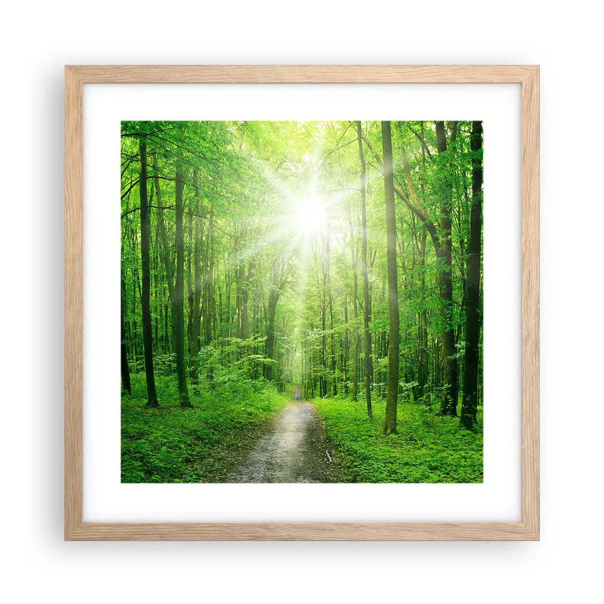 Poster in einem Rahmen aus heller Eiche - Die grüne Kathedrale - 40x40 cm