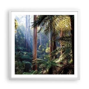 Poster in einem weißen Rahmen - Ein Waldmärchen - 60x60 cm