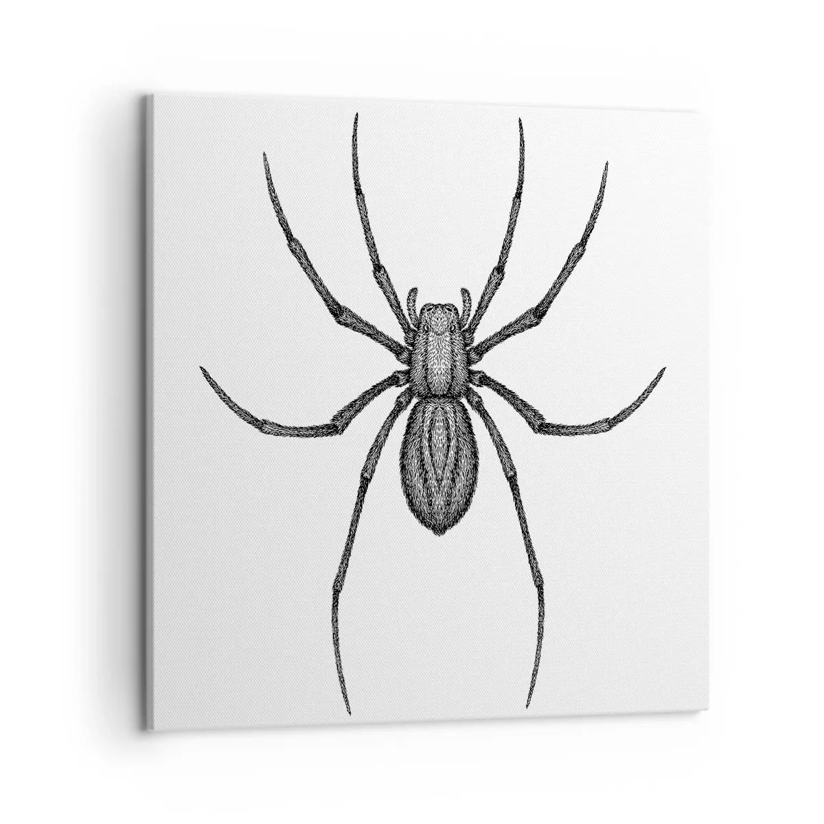 Bild auf Leinwand - Leinwandbild - Beunruhigende Präzision - 50x50 cm