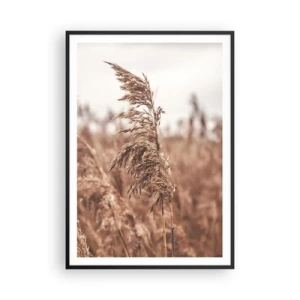 Poster in einem schwarzem Rahmen - Auf den Feldern ist es schon Herbst - 70x100 cm