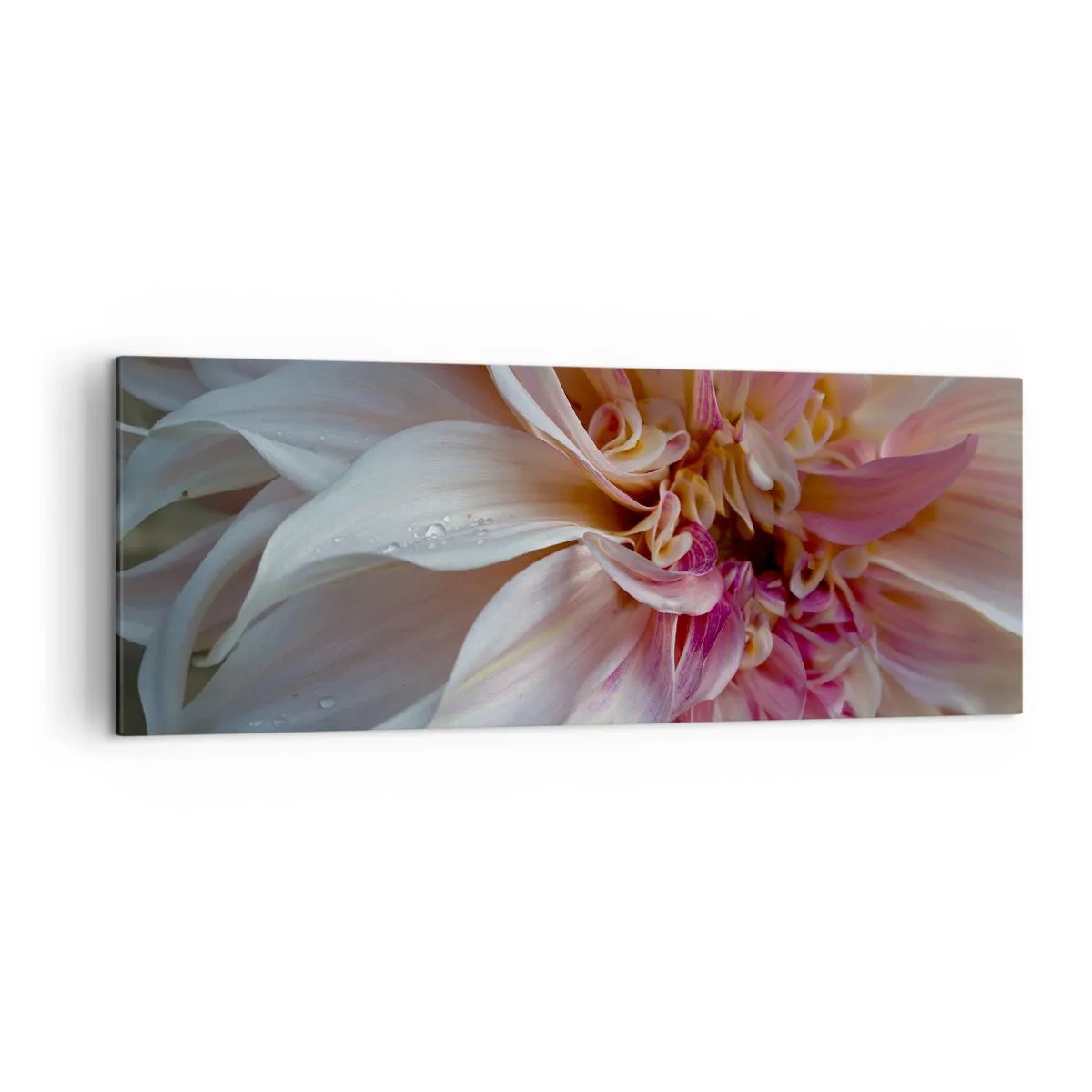 Bild auf Leinwand - Leinwandbild - Nahaufnahme von zarten rosa Blütenblättern mit Wassertropfen - 140x50cm - Blühende Frische - Moderne Wanddekoration für Wohnzimmer und Schlafzimmer ARTTOR