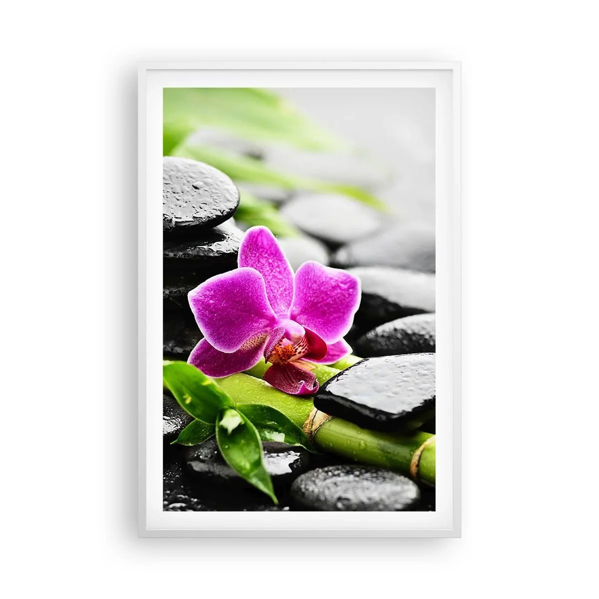 Poster in einem weißen Rahmen - In ruhiger Balance - 61x91 cm