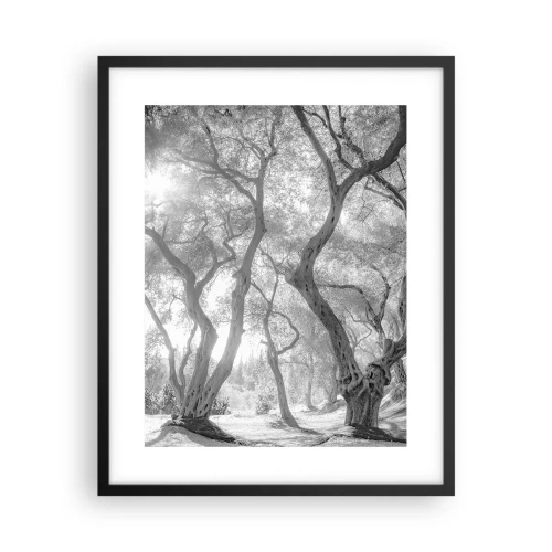 Poster in einem schwarzem Rahmen - Im Olivenhain - 40x50 cm