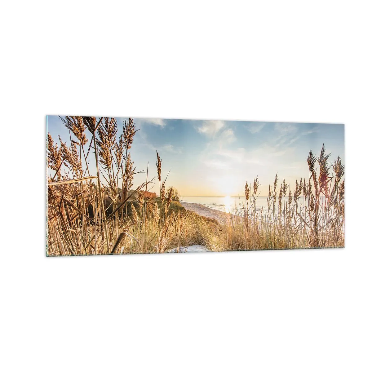 Glasbild - Bild auf glas - Nordstrand - 100x40 cm
