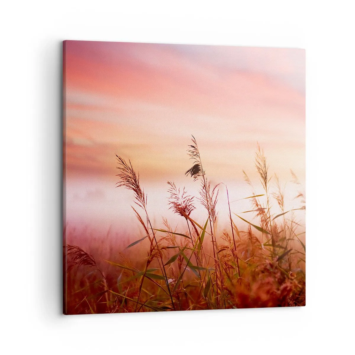 Bild auf Leinwand - Leinwandbild - Drachen, Löwenzahn, Wind - 50x50 cm