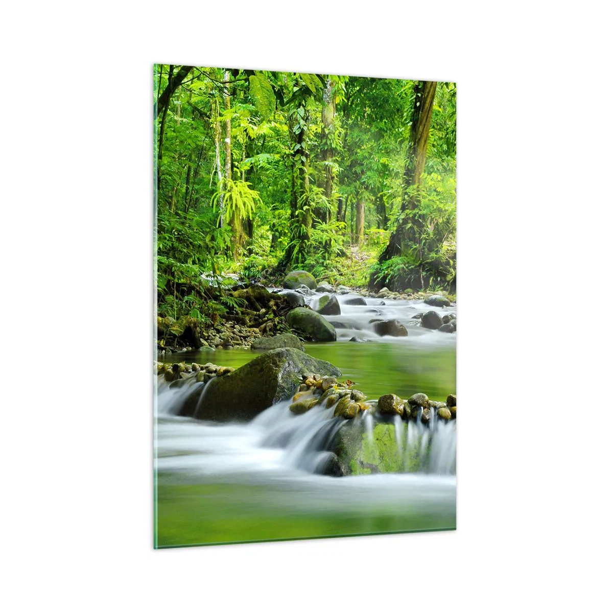Glasbild - Bild auf glas - Ein Waldbach, umgeben von üppiger Vegetation - 50x70cm - Schwimmen Sie in einem Meer aus Grün - Moderne Wanddekoration für Wohnzimmer und Schlafzimmer ARTTOR