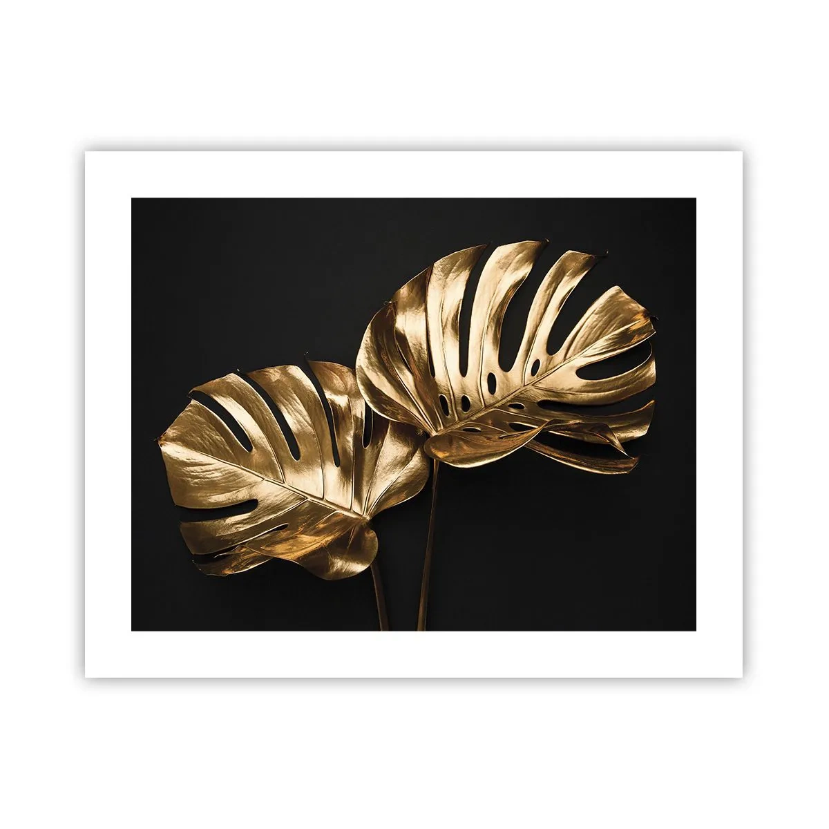 Poster - Die Schätze der Natur - 50x40 cm