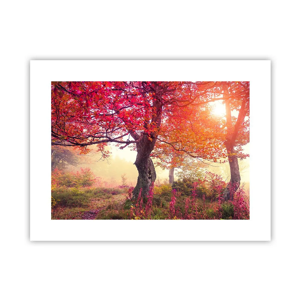 Poster - Blühende Raserei - 40x30 cm