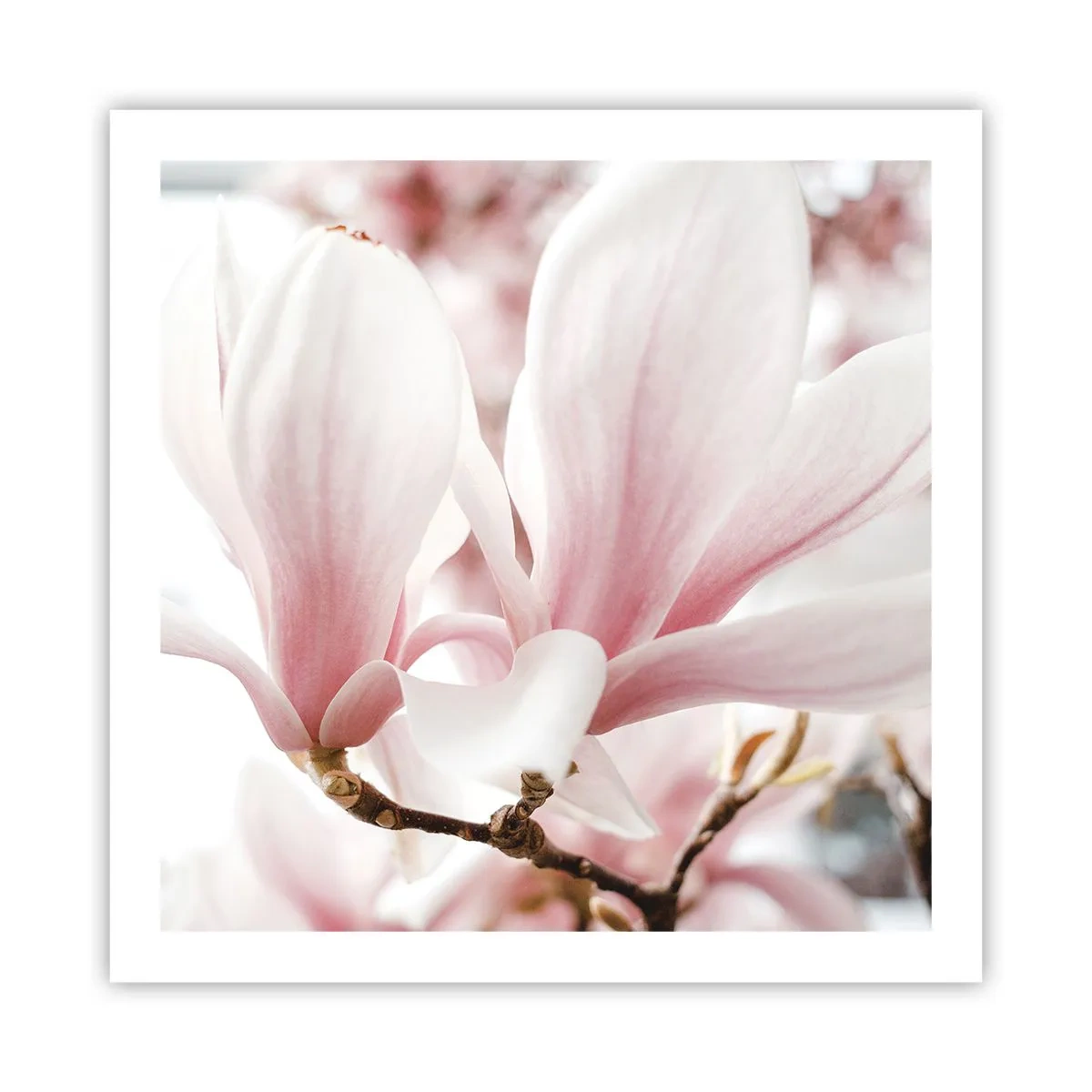 Poster - Eine Fülle von Zärtlichkeit - 60x60 cm