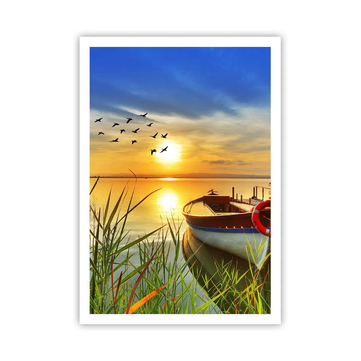 Poster - Die Kormorane fliegen schon weg - 70x100 cm